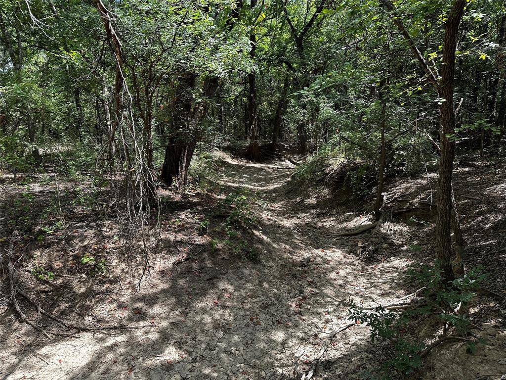 Graham, TX 76450,TBD Tract 4 & 5 Rocky Mound Road