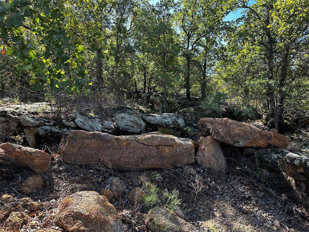 Graham, TX 76450,TBD Tract 4 & 5 Rocky Mound Road