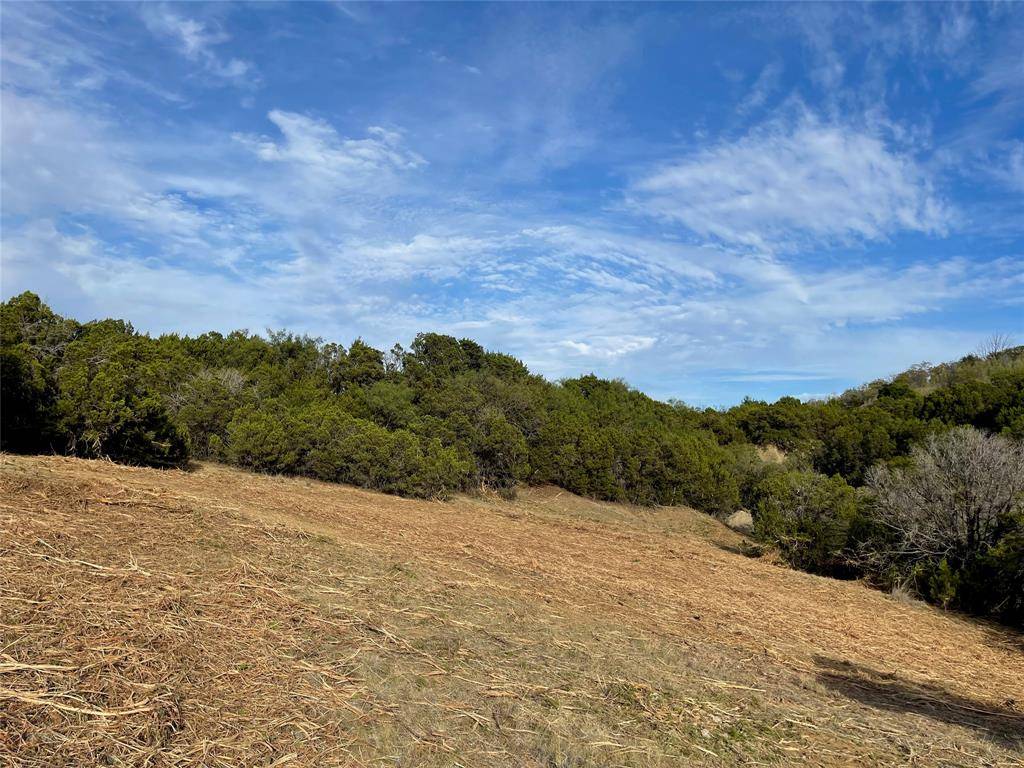 Possum Kingdom Lake, TX 76449,LOT 709 Canyon Wren Loop