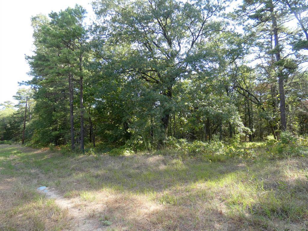 Winnsboro, TX 75494,TBD County Road 4593