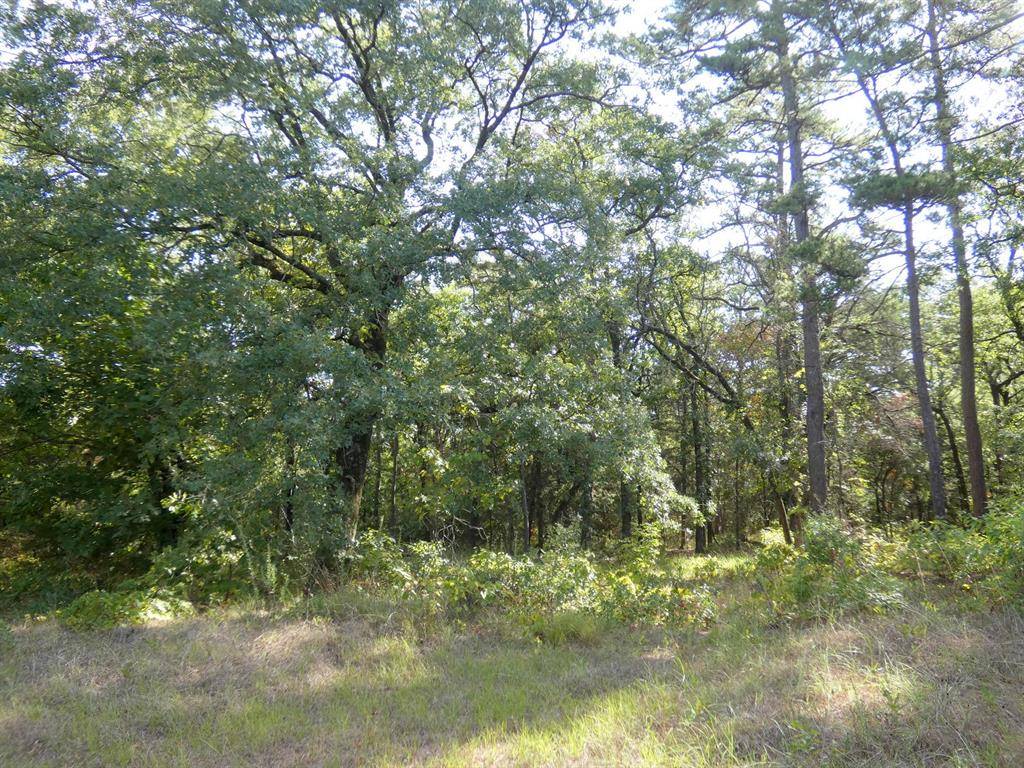 Winnsboro, TX 75494,TBD County Road 4593