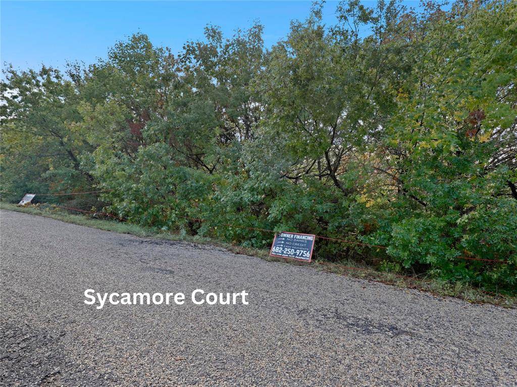 Granbury, TX 76048,2907 Sycamore Court