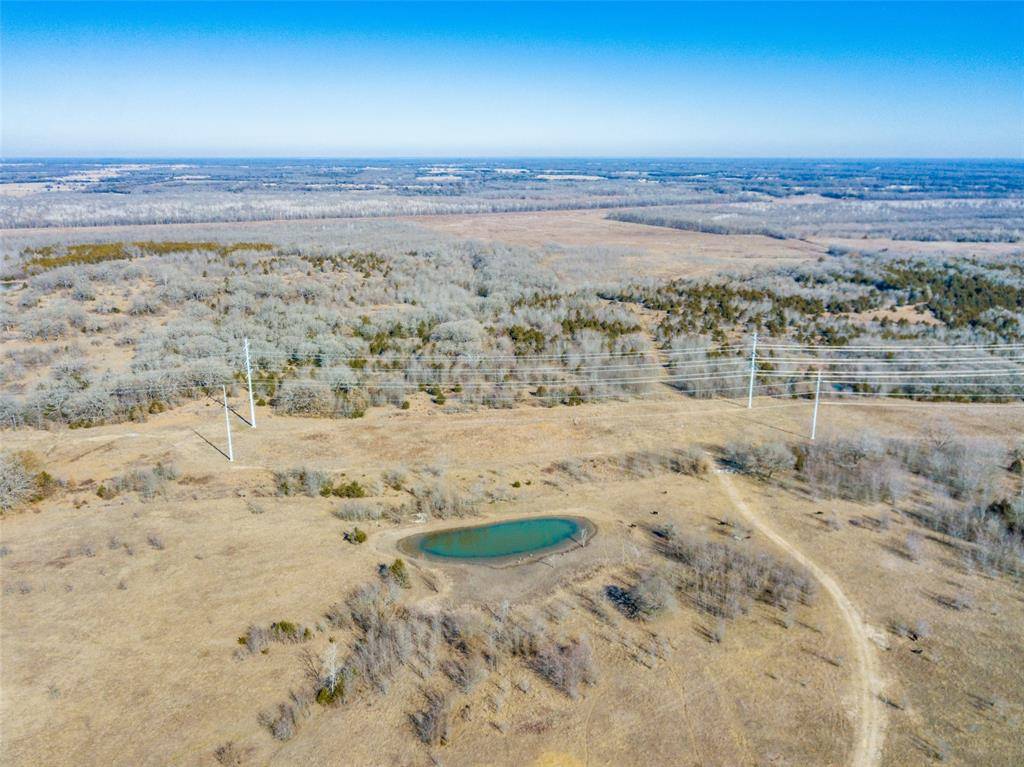 Dodd City, TX 75438,0000 County Rd 2900