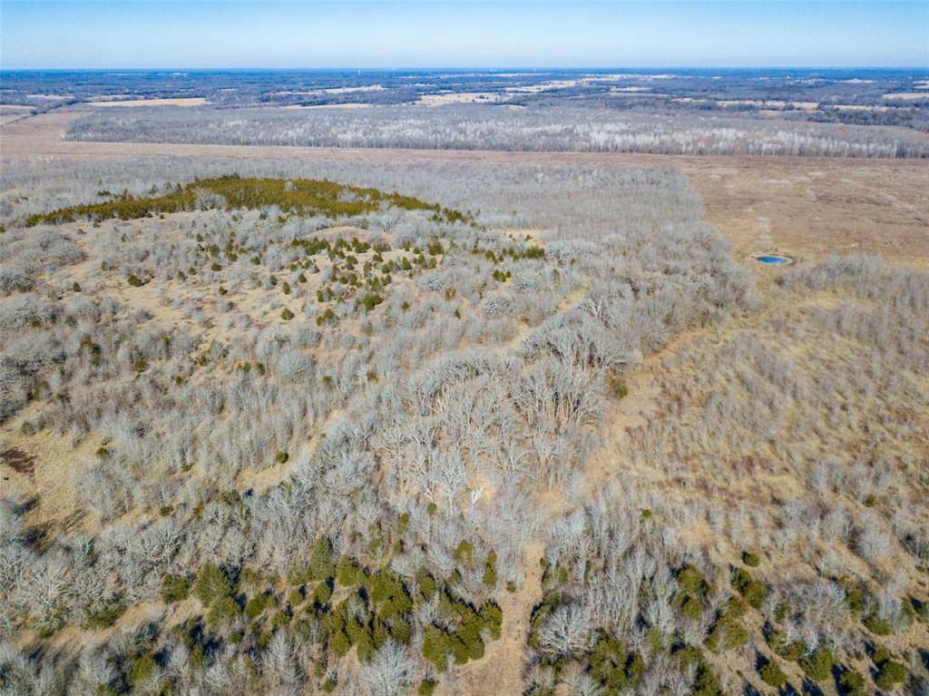 Dodd City, TX 75438,0000 County Rd 2900