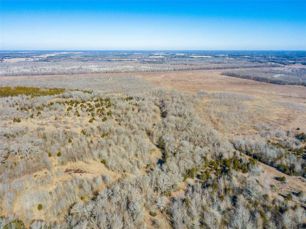 Dodd City, TX 75438,0000 County Rd 2900