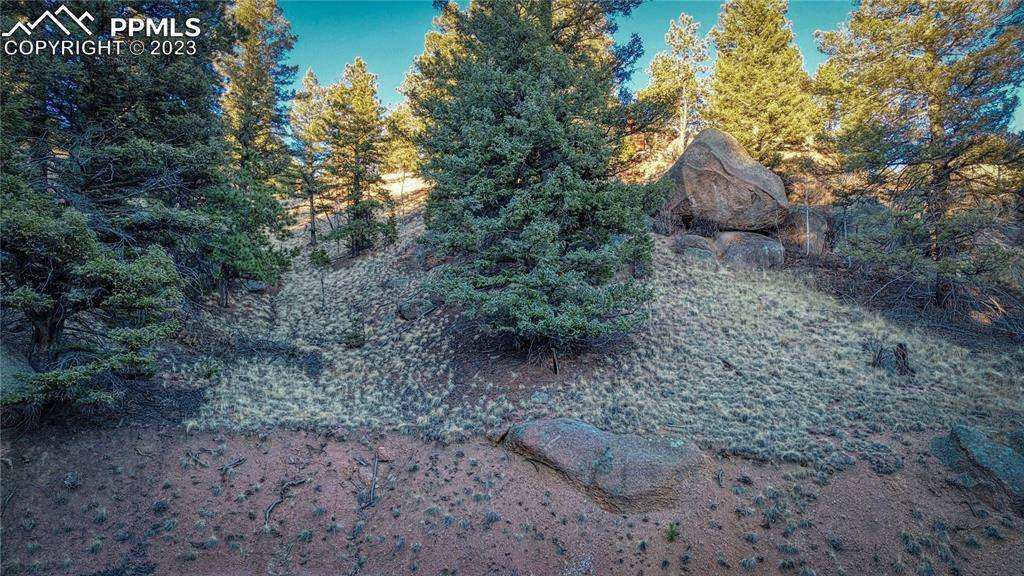 Florissant, CO 80816,911 Pinon LN