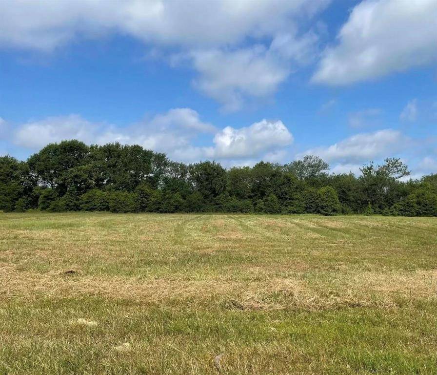 Wills Point, TX 75169,TBD Lot 11 VZ County Road 3416