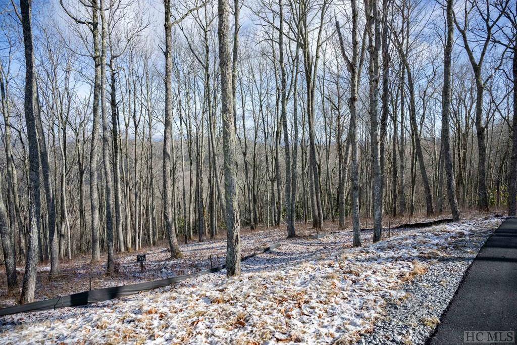 Glenville, NC 28736,Lot D45 Noble Crest Trail