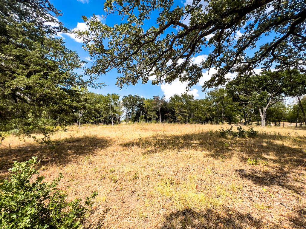 Scurry, TX 75158,1055 Winding Wood Trail