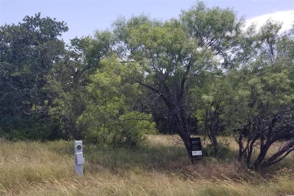 Runaway Bay, TX 76426,Lot 8 Lillys Court