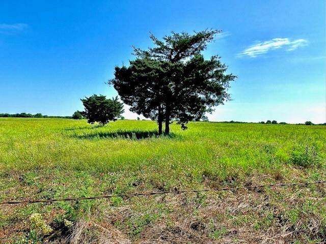 Honey Grove, TX 75446,LOT 3 County Road 26720