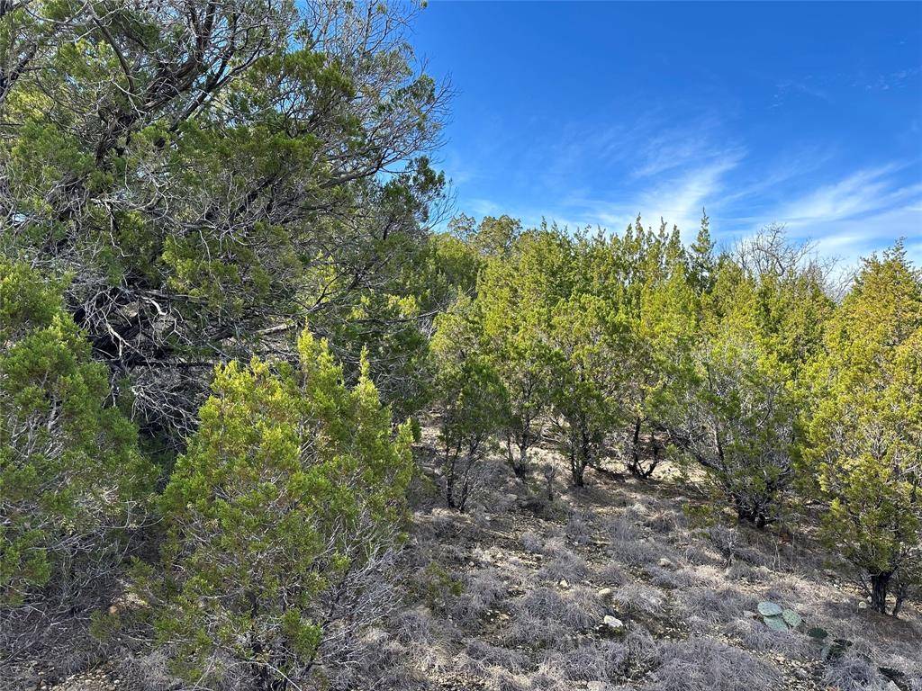 Possum Kingdom Lake, TX 76449,Lot 285 Shooting Star Court