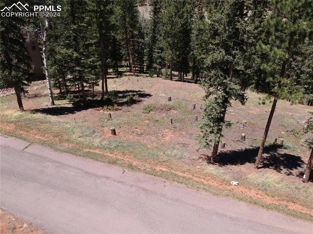 Woodland Park, CO 80863,220 Iron Eagle PT