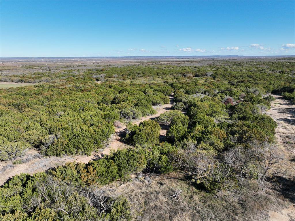 Tuscola, TX 79562,TBD Lemons Gap Road