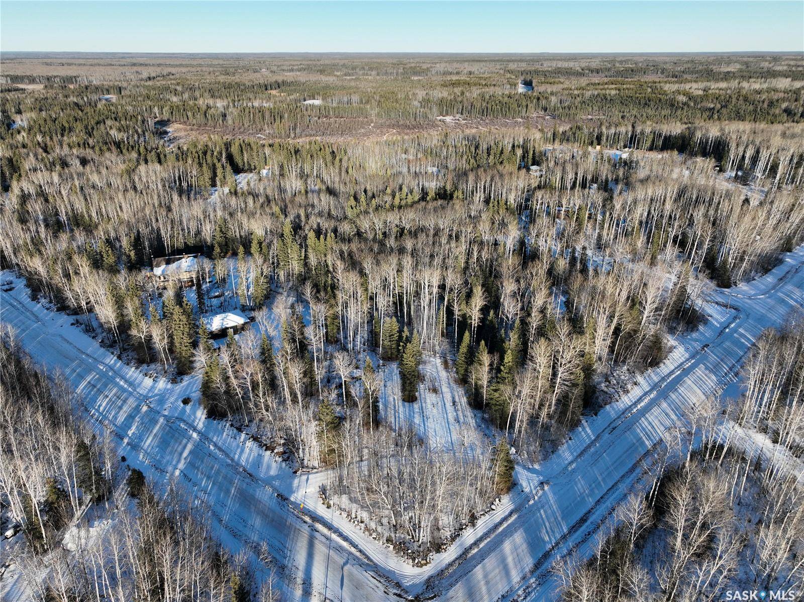 Candle Lake, SK S0J 3E0,401 Aspen WAY