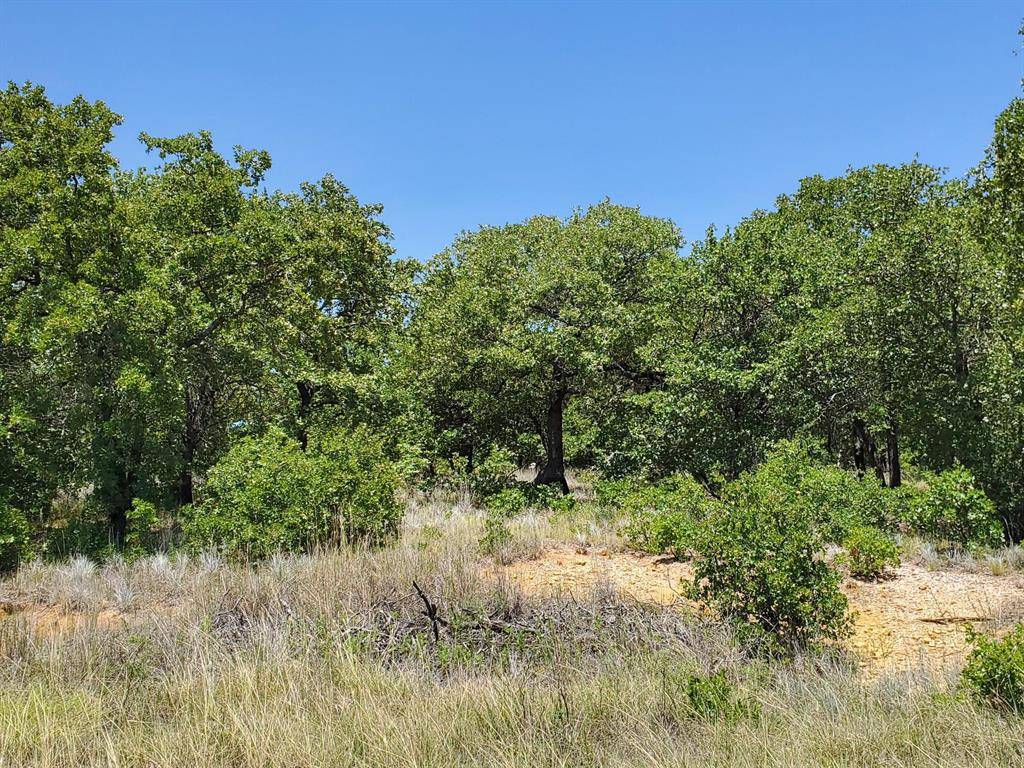 Bowie, TX 76230,Lot 362 Sunset Lane