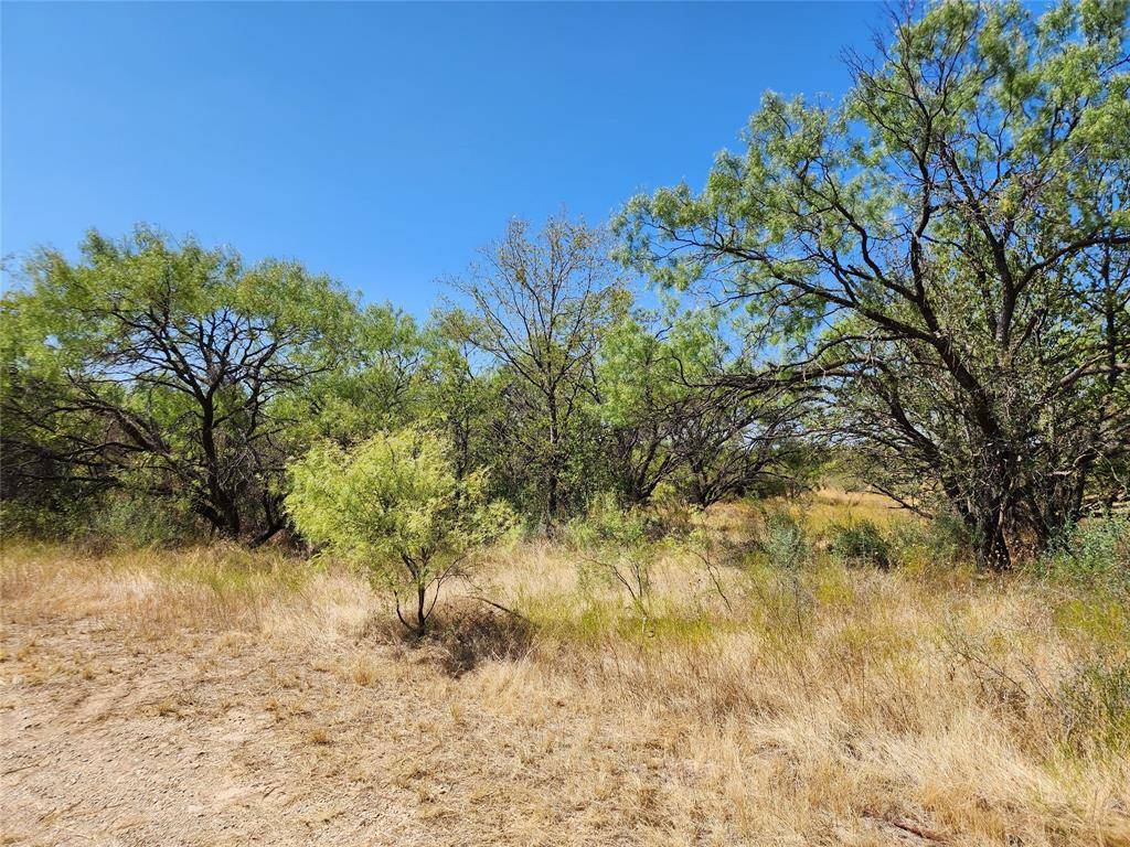 Baird, TX 79504,TBD IH-20