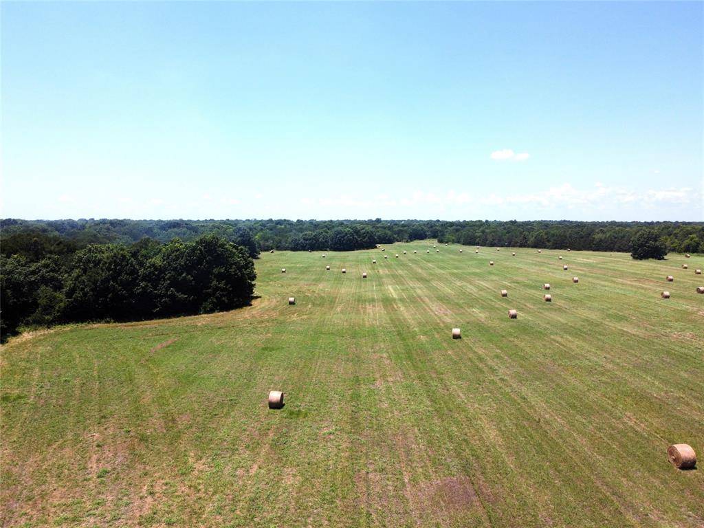 Wolfe City, TX 75496,17 ac FM 1566