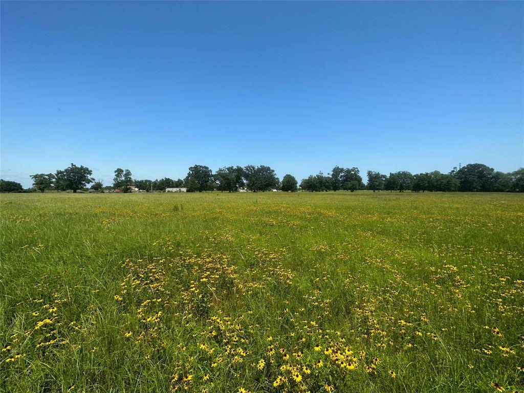 Brashear, TX 75420,Lot 2 County Road 1166