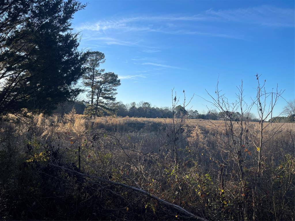 Hughes Springs, TX 75656,00 CR 2620