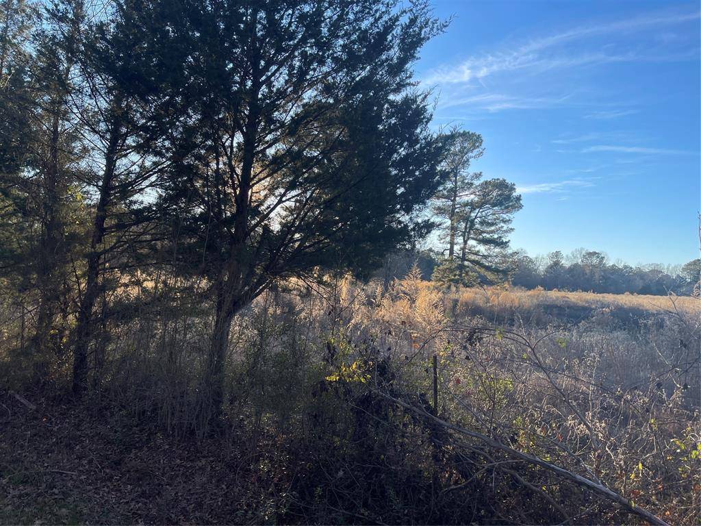 Hughes Springs, TX 75656,00 CR 2620