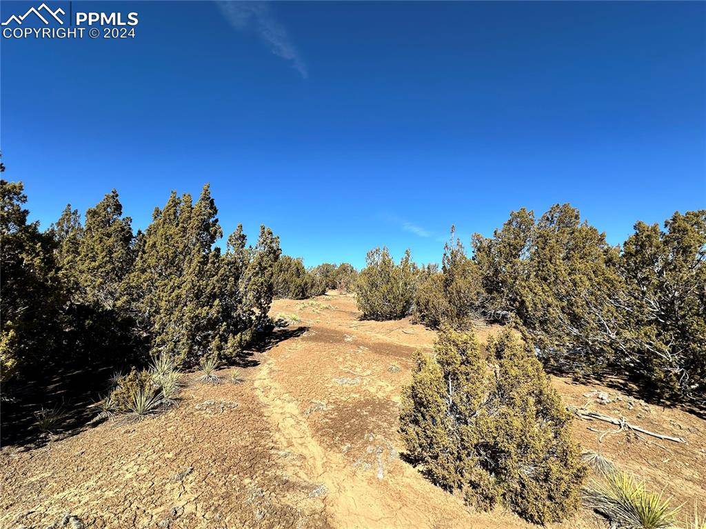 Walsenburg, CO 81089,Lot 606 Pico Del Questa