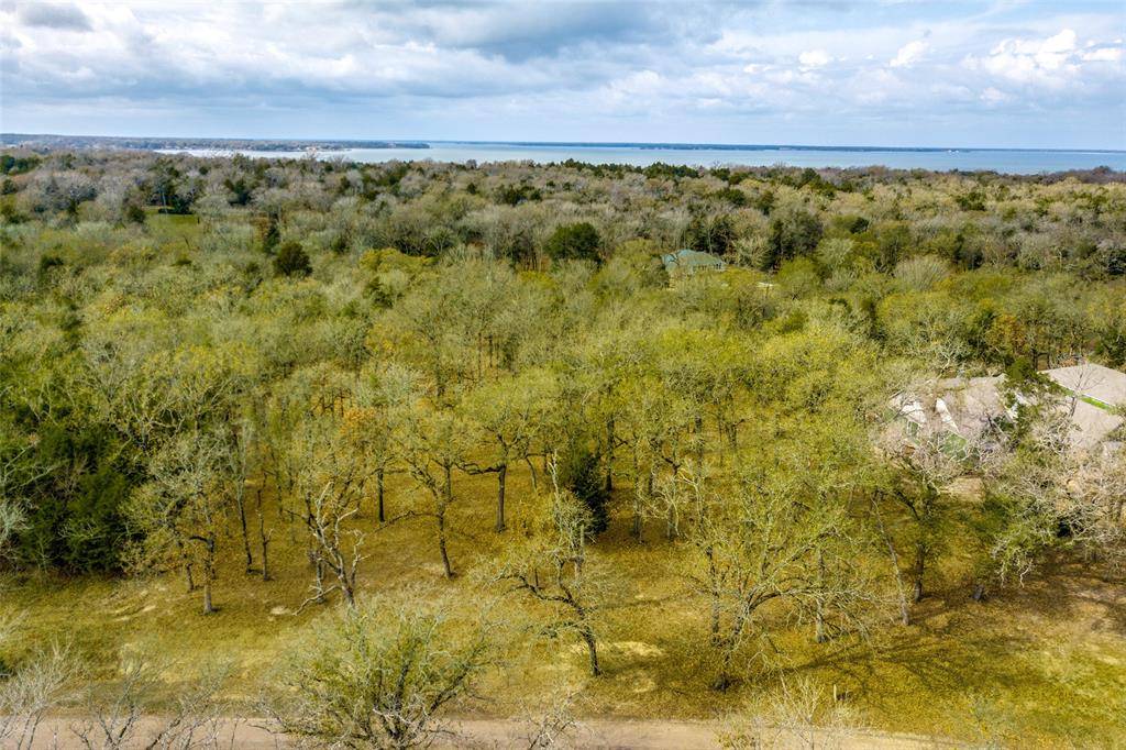 Streetman, TX 75859,Lot 169 Stonewall Drive