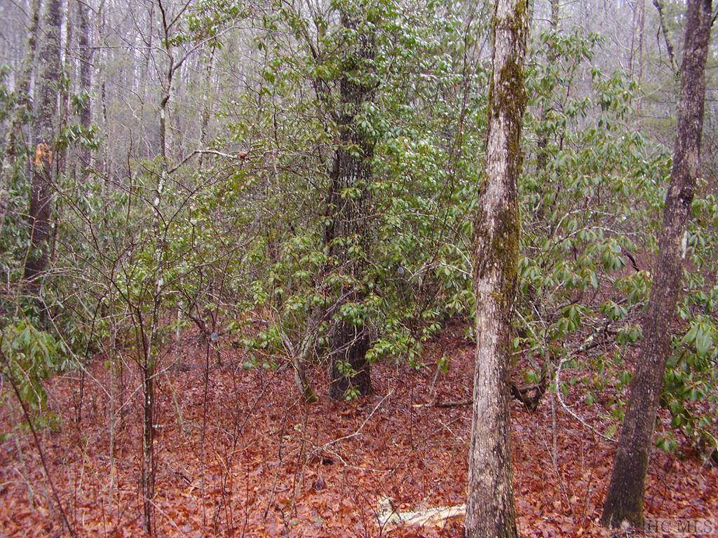 Cashiers, NC 28717,Lot 1A Streamside Drive