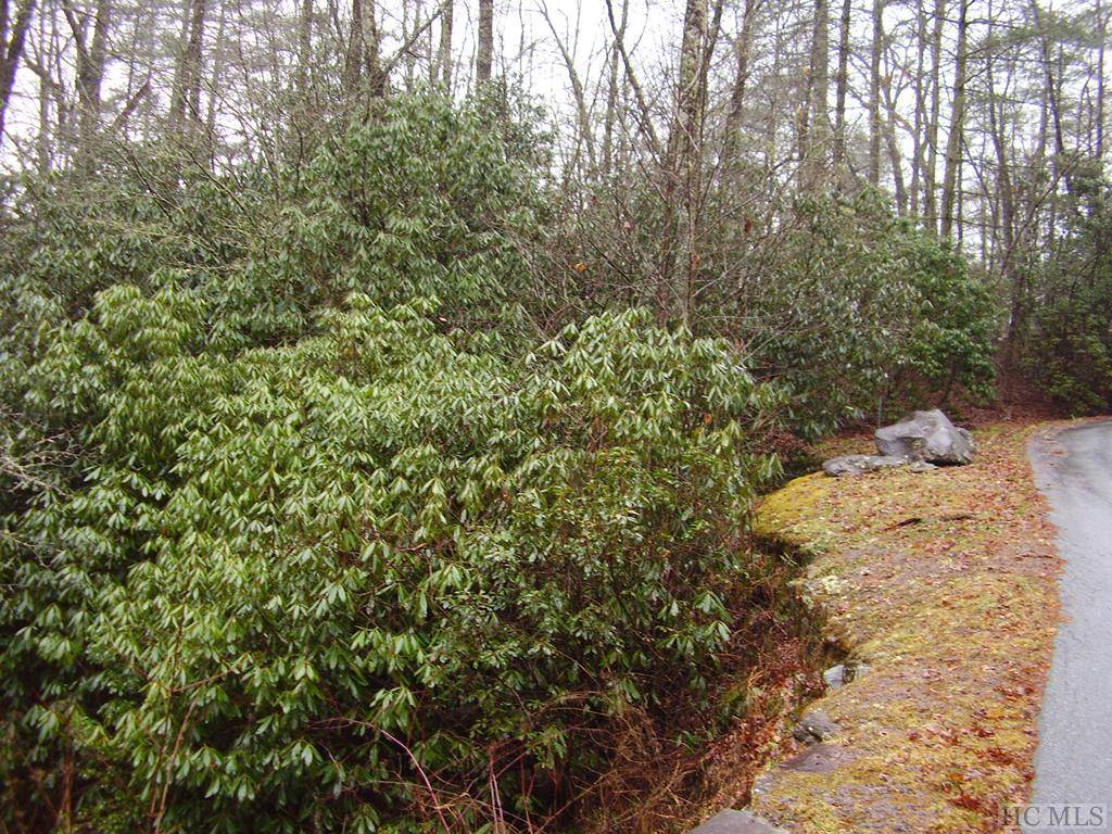 Cashiers, NC 28717,Lot 1B Streamside Drive