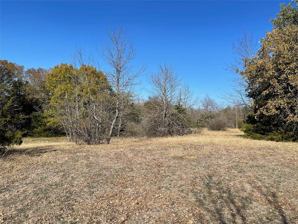 Gordonville, TX 76245,TBD Stribbling Lane