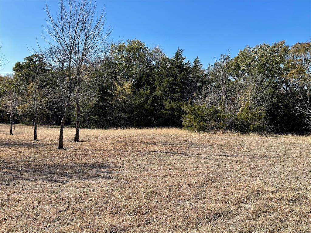 Gordonville, TX 76245,TBD Stribbling Lane