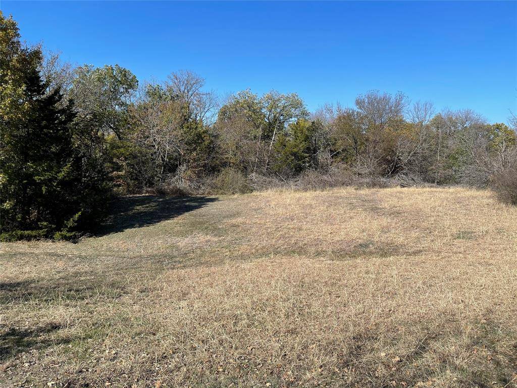 Gordonville, TX 76245,TBD Stribbling Lane