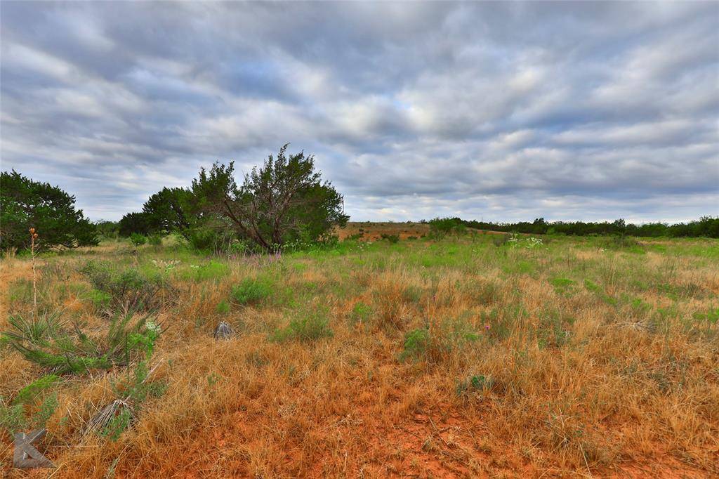 Abilene, TX 79536,tbd FM 1235.