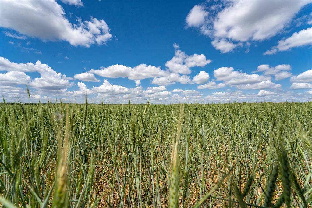 Coleman, TX 76834,TBD Tract 3 State Highway 206