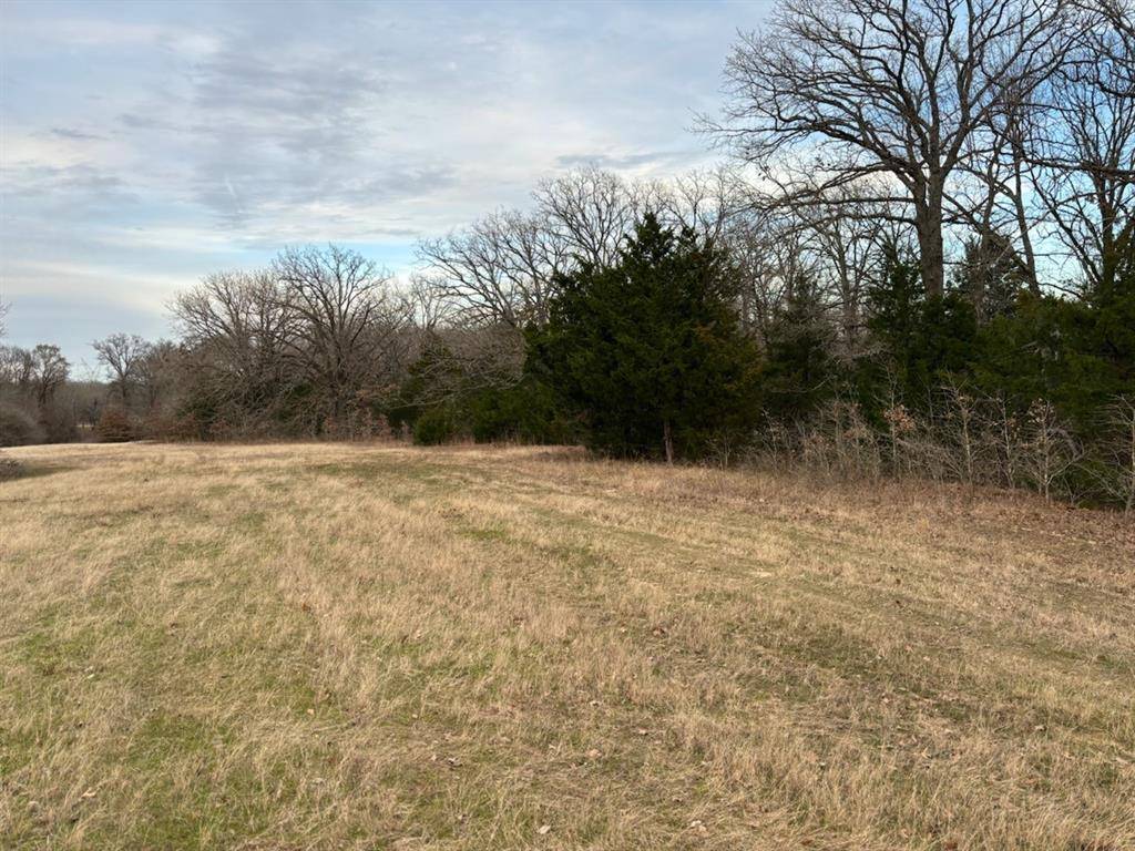 Lone Oak, TX 75453,TBD County Road 1130