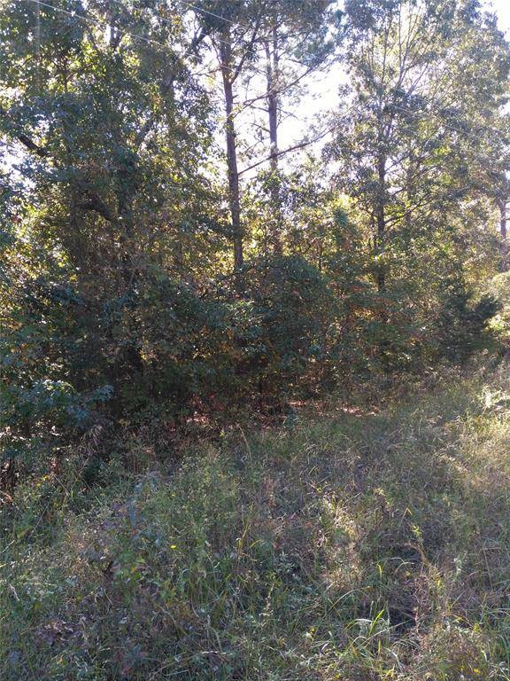 Quitman, TX 75783,000 W highway 154