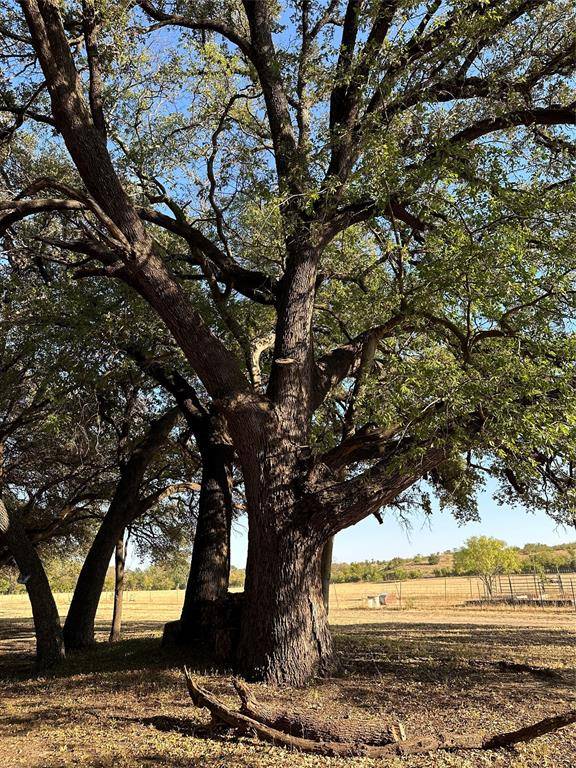 Comanche, TX 76442,650 Highway 3200