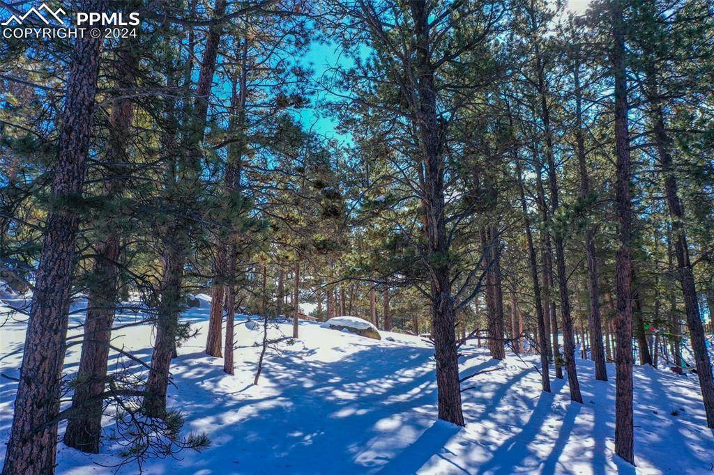 Florissant, CO 80816,148 Rhyolite LN