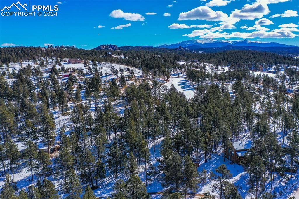 Florissant, CO 80816,148 Rhyolite LN