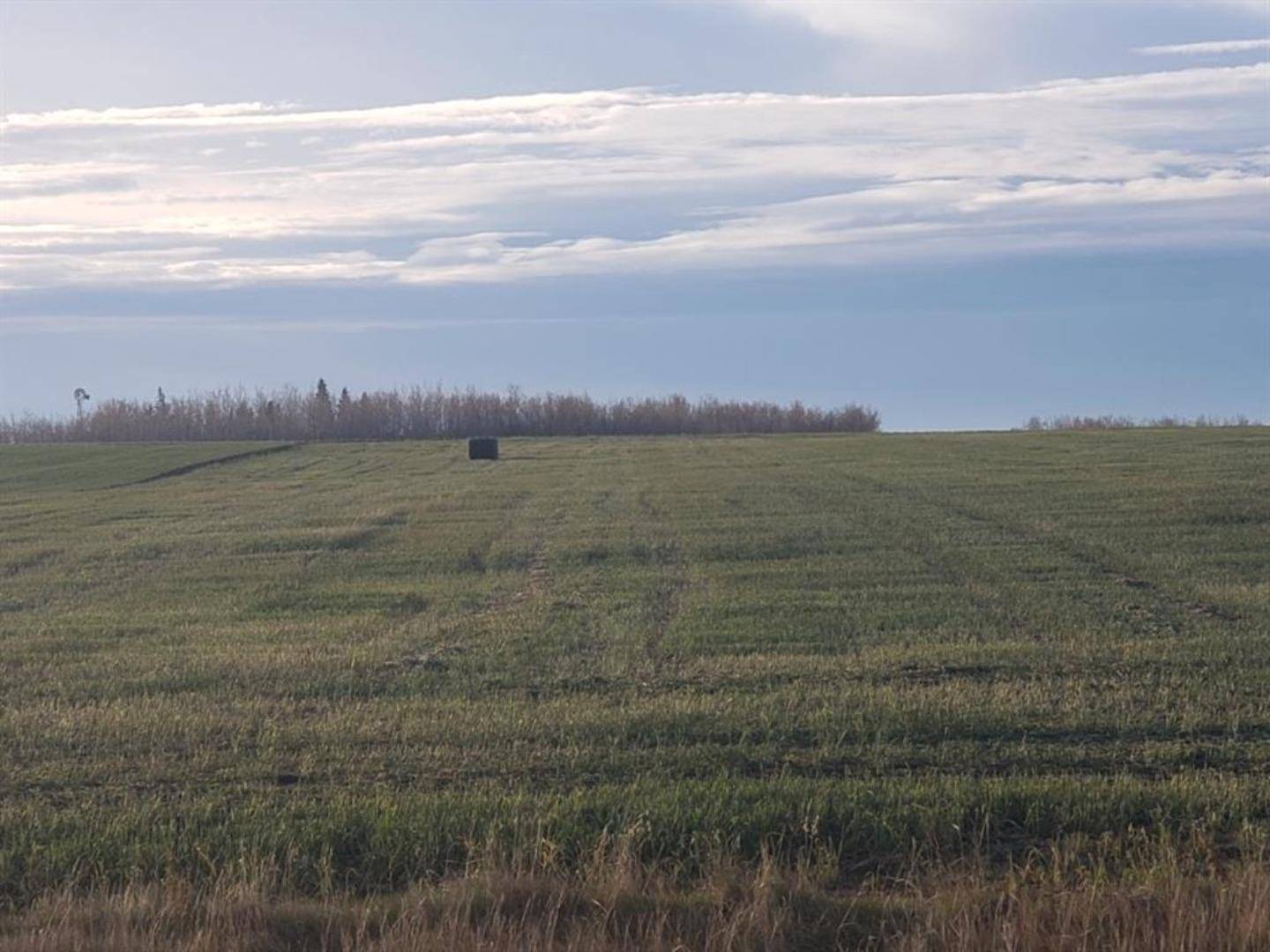 Rural Grande Prairie No. 1 County Of, AB T8X 0N5,721072 Range Road  53