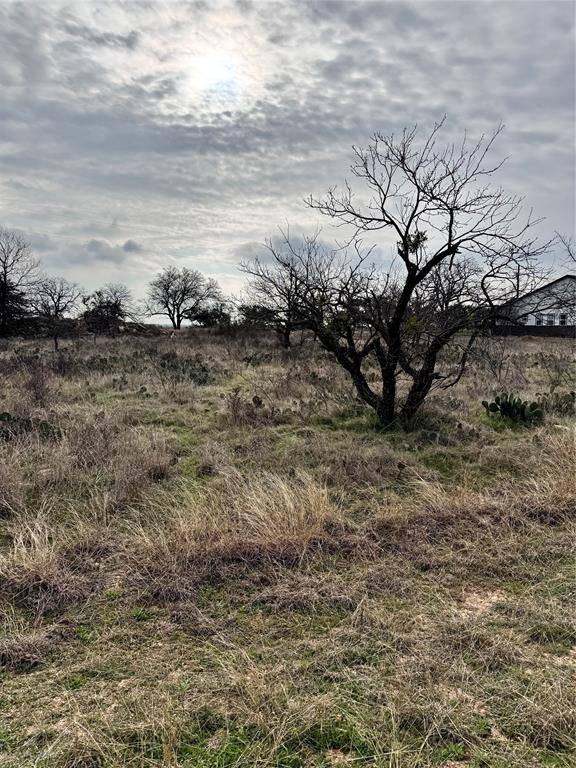 Brownwood, TX 76801,TBD Lot 355 Feather Bay Drive