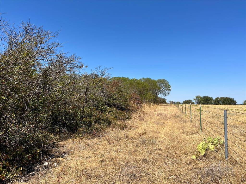 Hamilton, TX 76531,Lot 11 PR 6332