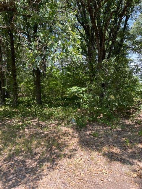 Gun Barrel City, TX 75156,TBD Meadow Lake Drive