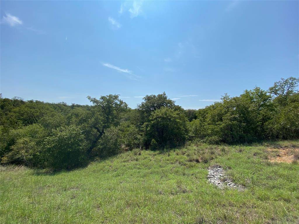 Bowie, TX 76230,Lot 432 Crosstimbers Drive