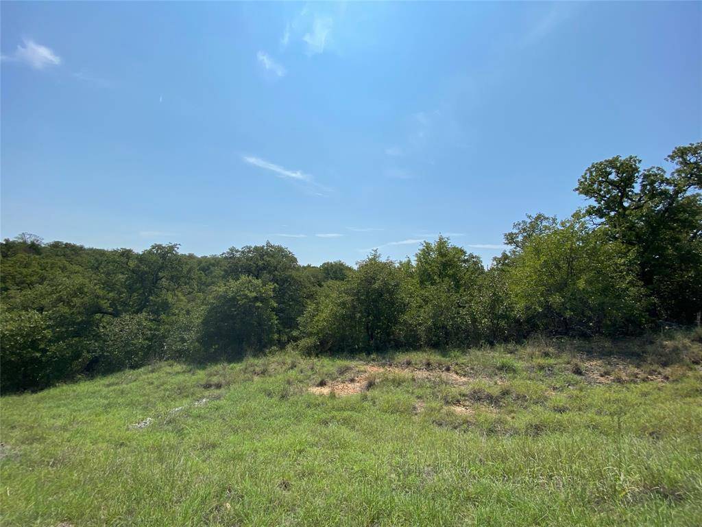 Bowie, TX 76230,Lot 432 Crosstimbers Drive