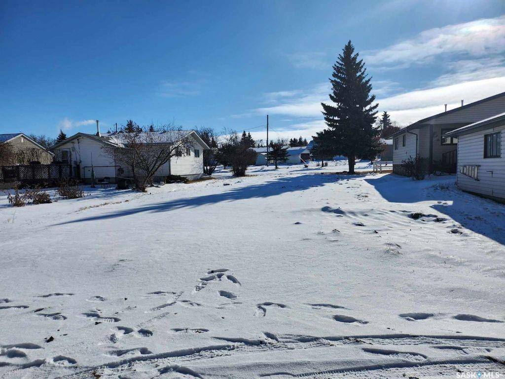 Birch Hills, SK S0J 0G0,209 Stevens AVENUE