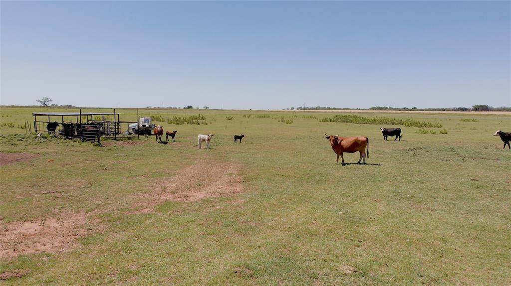 No City, TX 79544,100 Acres CR 132