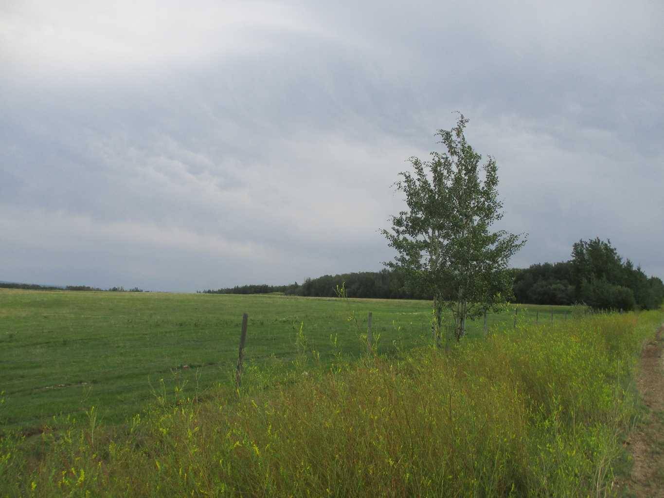 High Prairie, AB T0G 1E0,N-1/2-34- 72-16-W5