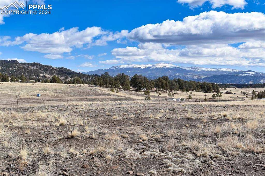 Guffey, CO 80820,597 Meadow LN