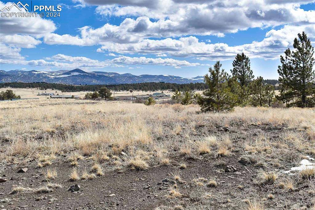 Guffey, CO 80820,597 Meadow LN